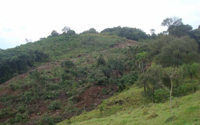 Deslizamento no Morro Alto de Perobas não apresenta riscos à comunidade, de acordo com análise parcial de técnico da Min