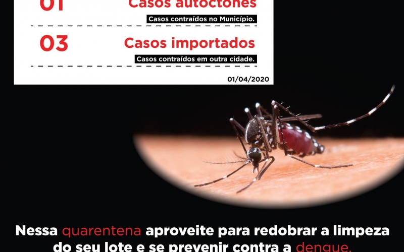 Boletim epidemiológico confirma 04 casos de dengue no Município