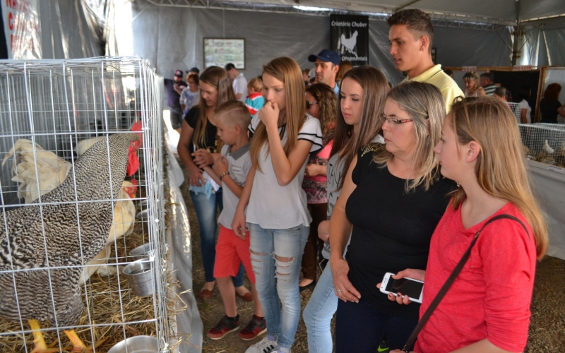 Exposição de animais e aves foi uma das atrações da Fenafep. 