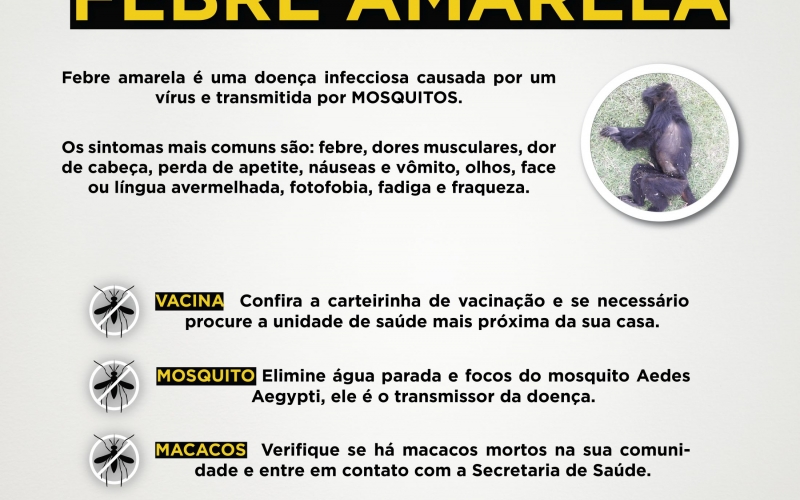 Fique alerta, o vírus da Febre Amarela está circulando em Prudentópolis 